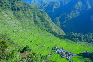 Banaue town gov't moves to preserve famed Rice Terraces